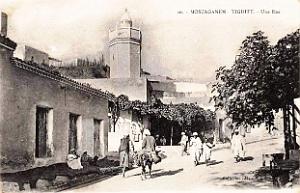 Mostaganem 511